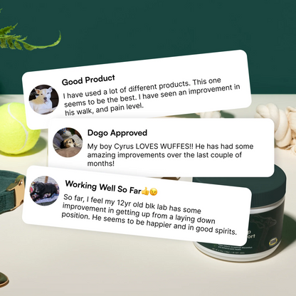 Advanced Hip  Joint Support