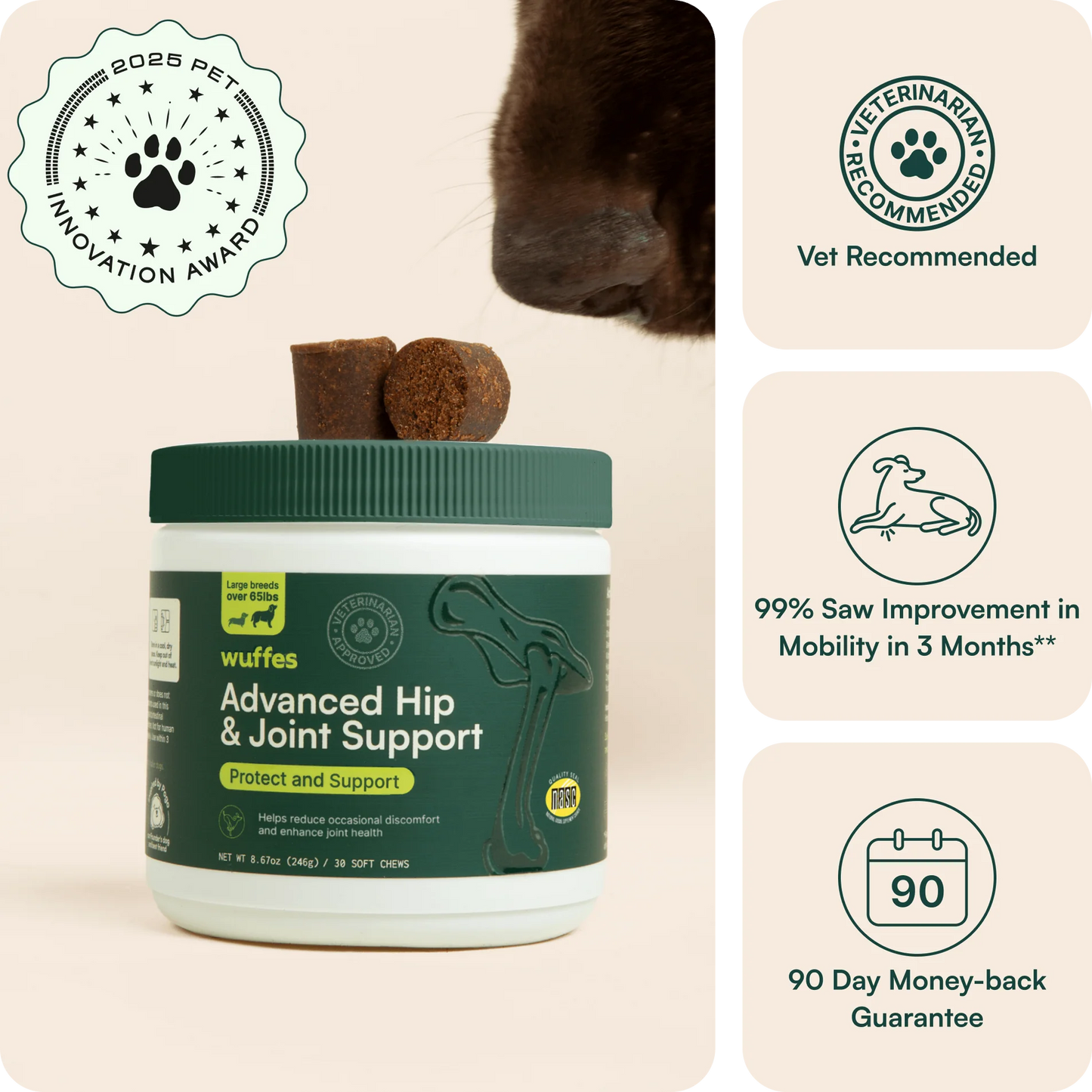 Advanced Hip  Joint Support