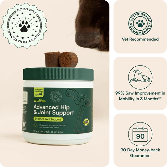 Advanced Hip  Joint Support