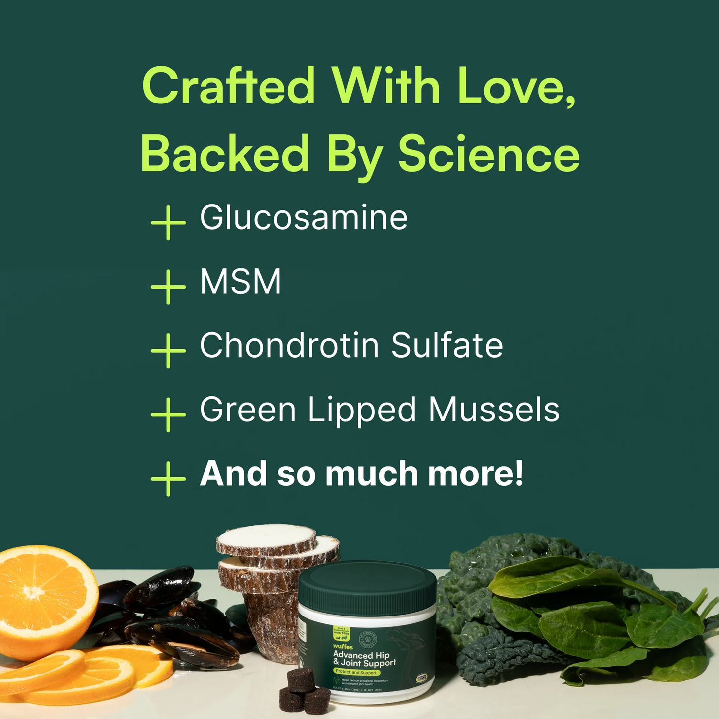 Advanced Hip  Joint Support